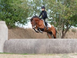 IMG_8348_web